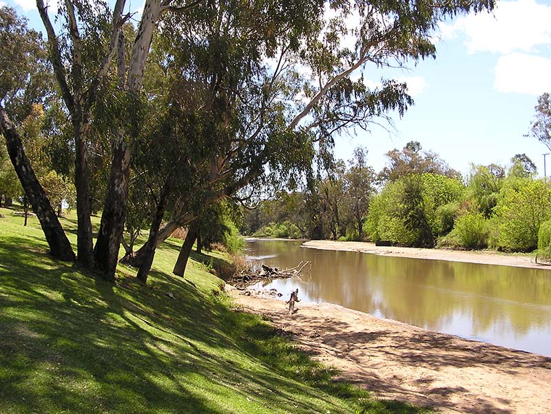 Lachlan River at Cowra NSW